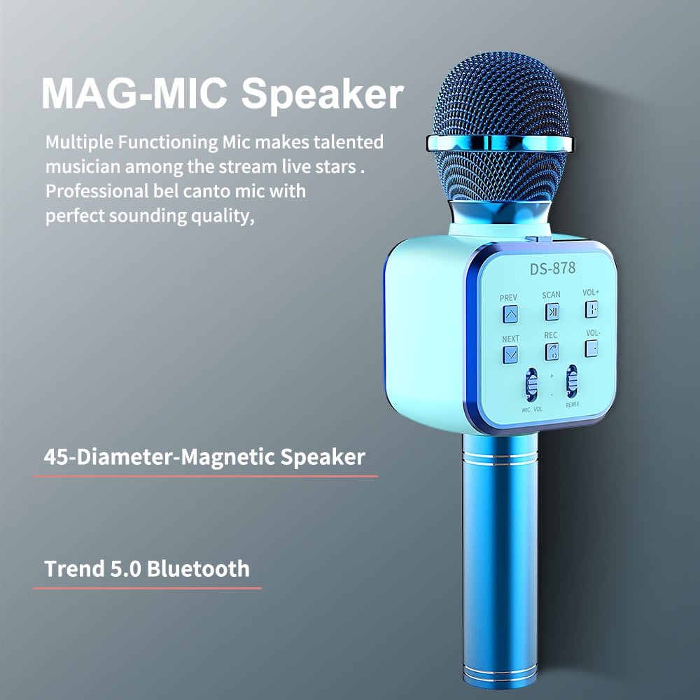 DS878 Wireless Microphone Hi Fi Speaker in sri lanka otc.lk