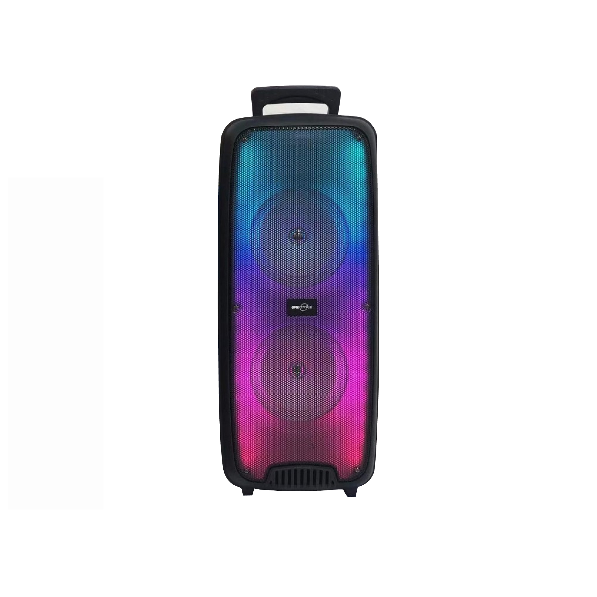 GTS-1625 Karaoke Bluetooth Speaker with Lights Panel