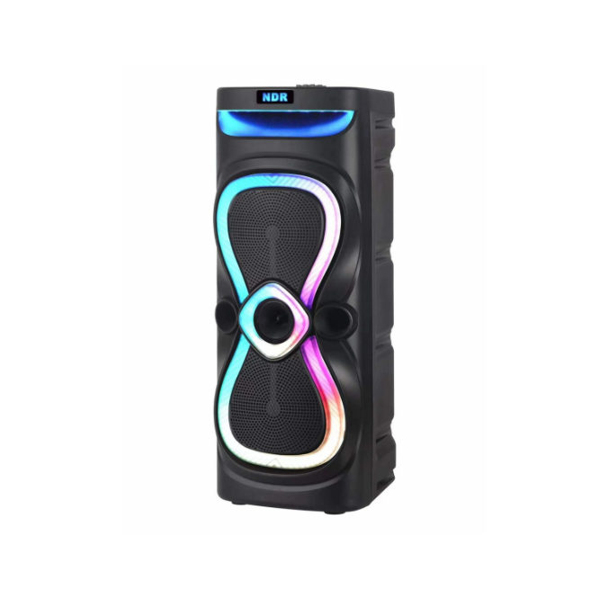 NDR-X920 Dual 10 Inch Bluetooth Speaker