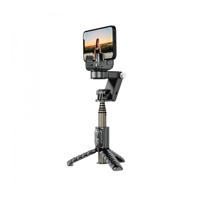 Wiwu WI-SE006 Detachable Tripod Selfie Stick - Black