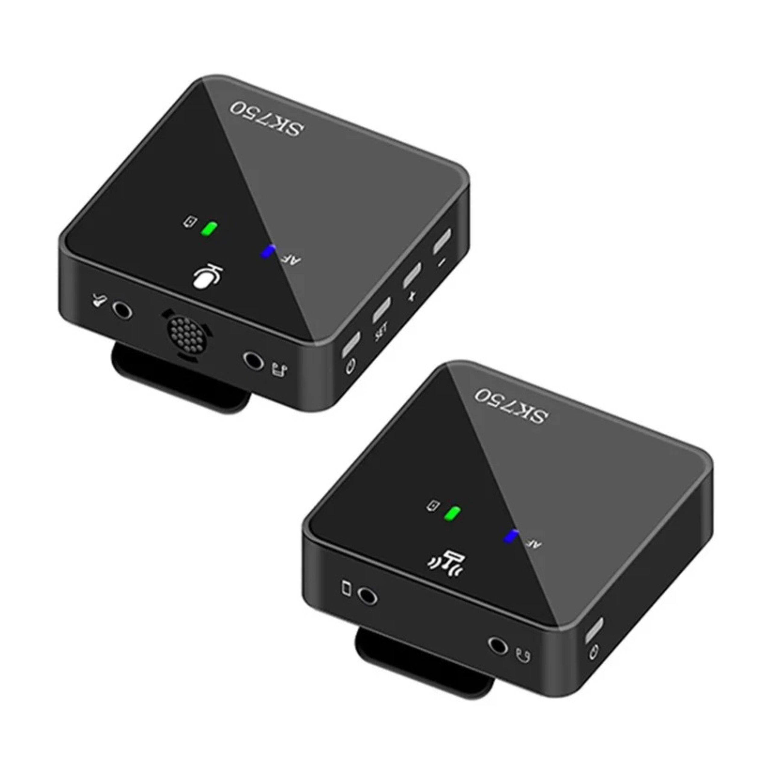 SK750 Wireless Microphone System 2 Mic