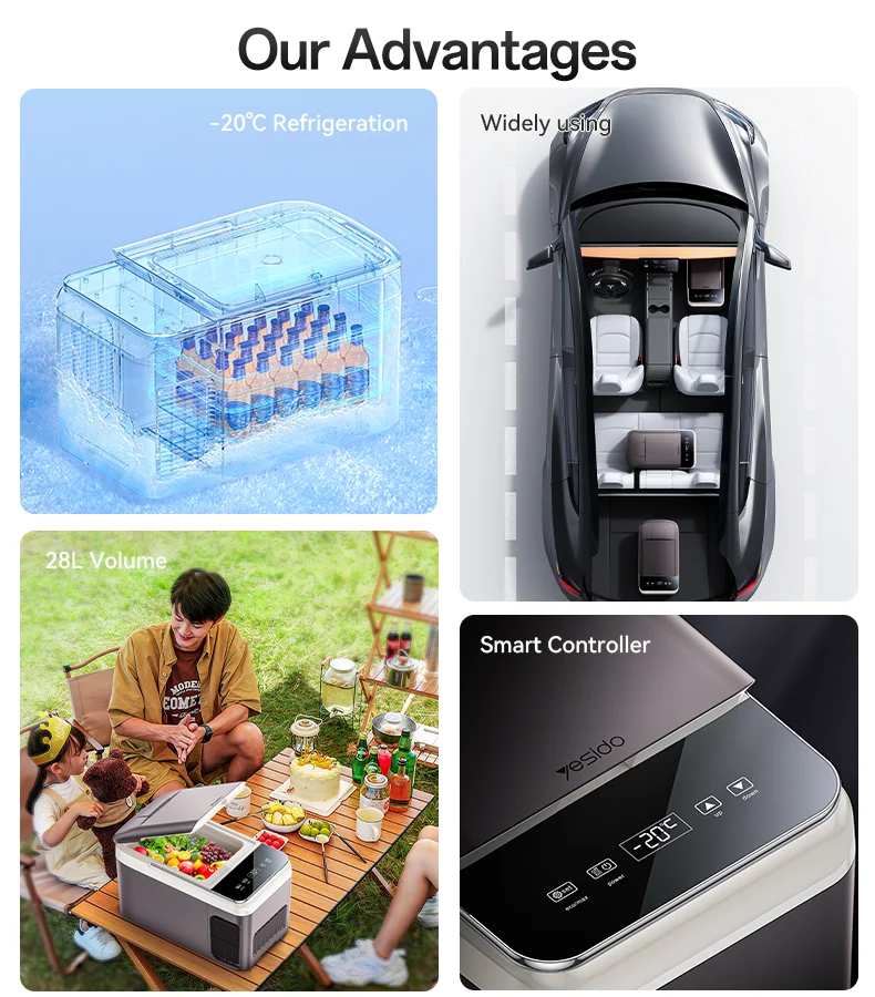 Portable Car Fridge Price Sri Lanka